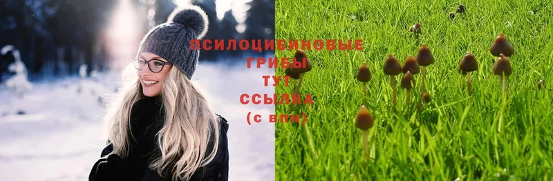 Галлюциногенные грибы Cubensis  Туймазы 